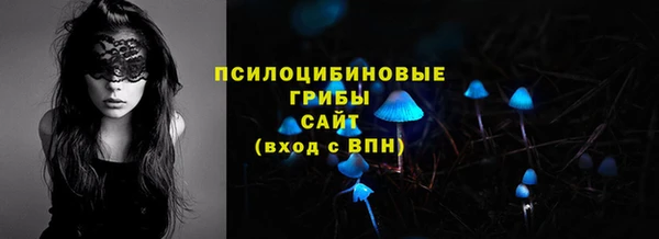 скорость Касимов