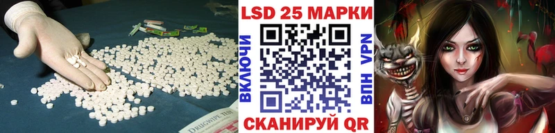 Купить закладки  Приозерск  LSD-25 экстази ecstasy 