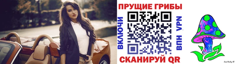 Псилоцибиновые грибы ЛСД Приозерск