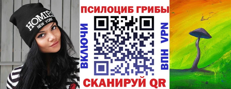 Купить где  Приозерск  Псилоцибиновые грибы мицелий 